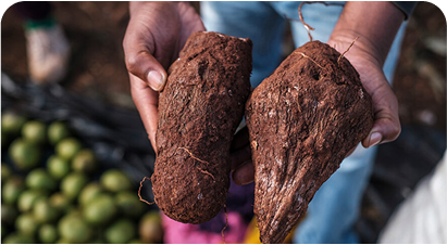 Chefs Spotlight Faida Foods in Home Kitchens