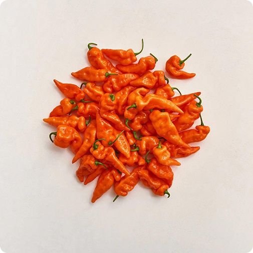 Infused with Habanada - rich habanero flavor without the heat.